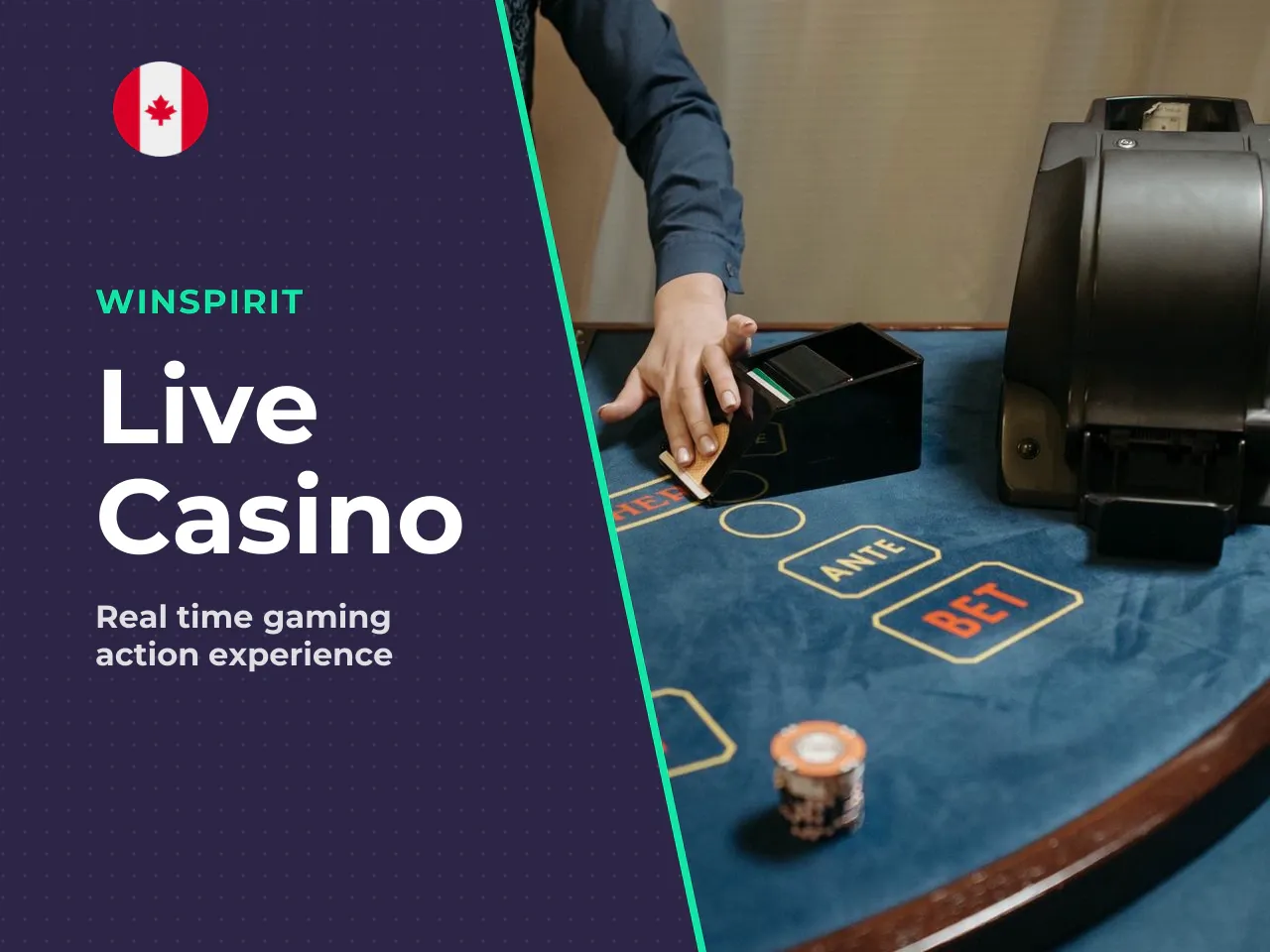 Are There Live Dealer and Live