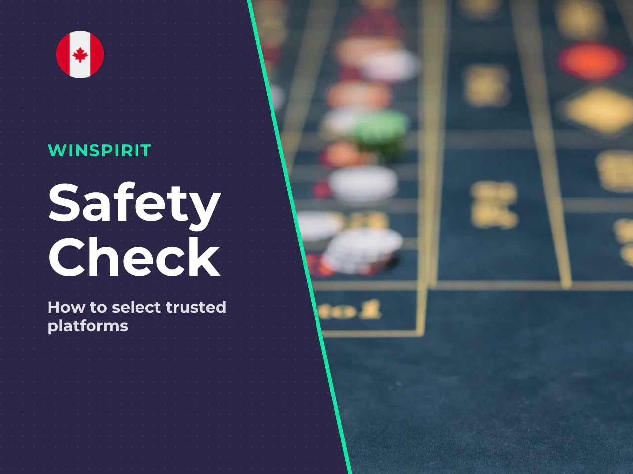 What to Check Before Choosing a