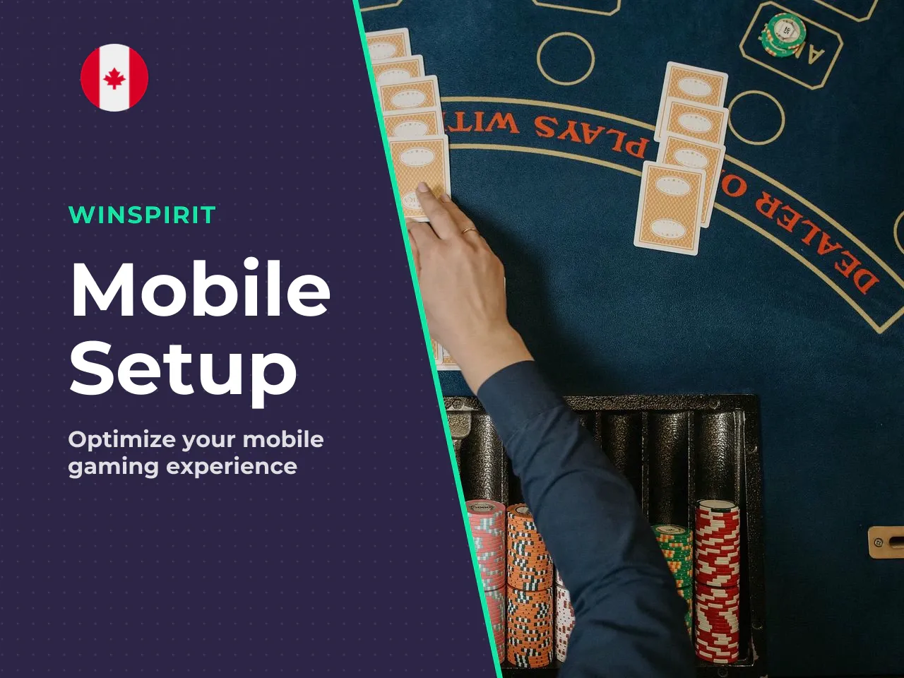 What to Check in the Mobile